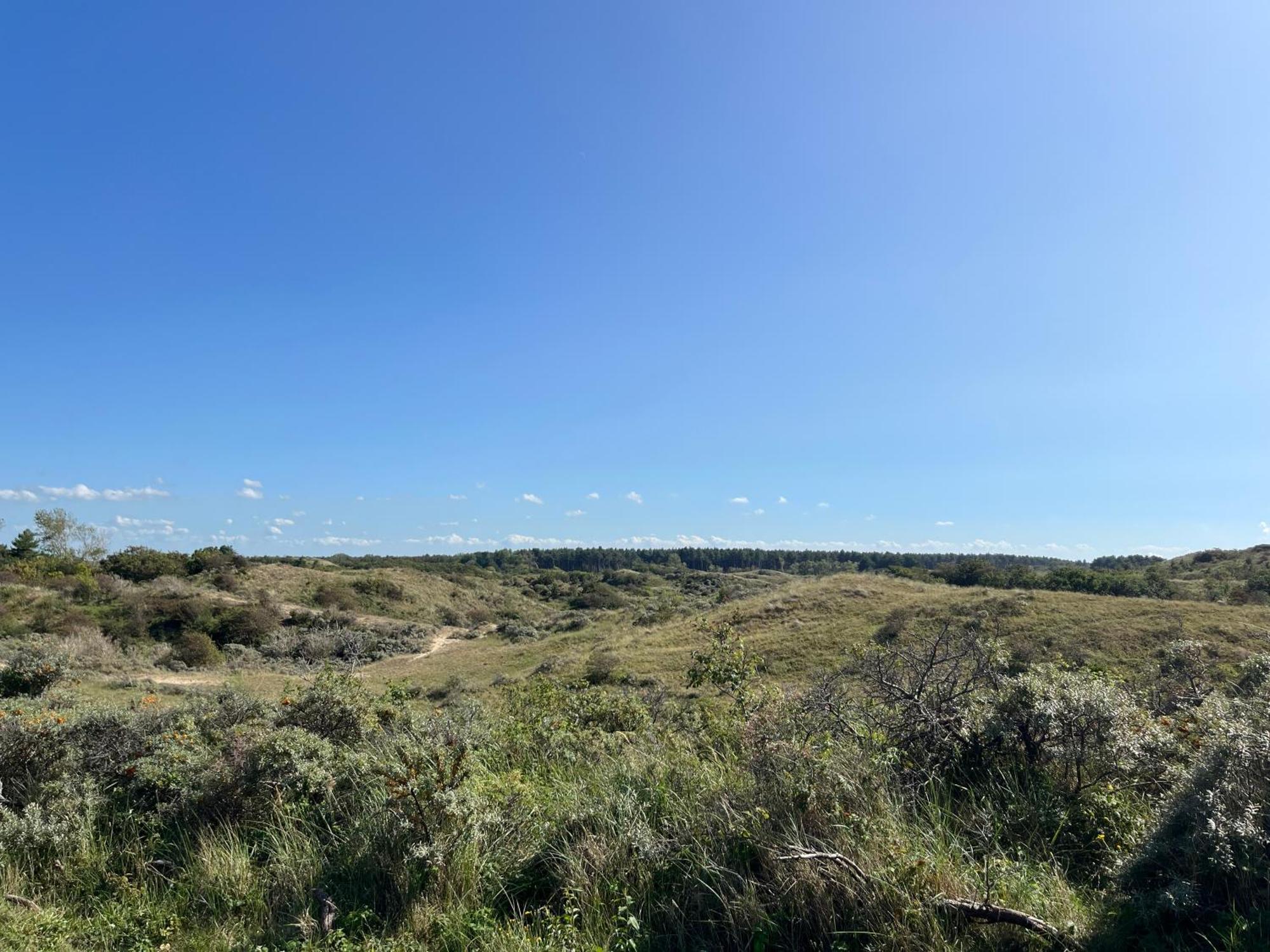 Huize Louwra Villa Egmond-Binnen Ngoại thất bức ảnh